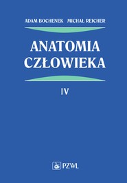 AnaTomia człowieka. Tom 4