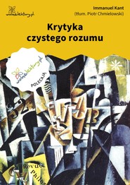 Krytyka czystego rozumu