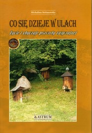 Co się dzieje w ulach Życie i obyczaje pszczoły zwyczajnej