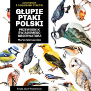 Głupie ptaki Polski