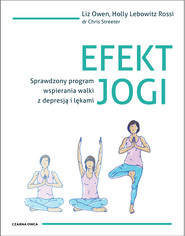 Efekt jogi