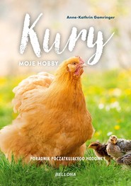 Kury moje hobby Poradnik początkującego hodowcy