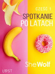 Spotkanie po latach 1 – opowiadanie erotyczne