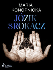 Józik Srokacz