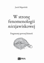 W stronę fenomenologii niezjawiskowej. Fragmenty pewnej historii