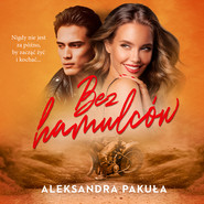 Bez hamulców