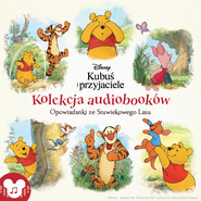 Kubuś i przyjaciele. Opowiadanki ze Stuwiekowego Lasu. Kolekcja audiobooków