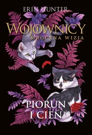 Piorun i cień