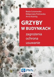 Grzyby w budynkach. Zagrożenia, ochrona, usuwanie.