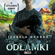 Odłamki