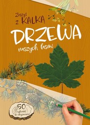 Drzewa naszych lasów. Zeszyt z kalką wyd. 2025