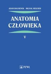 Anatomia człowieka T.5
