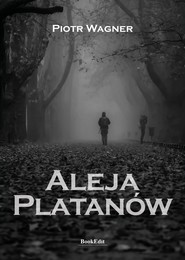 Aleja Platanów