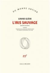 Iris sauvage