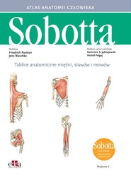 Tablice anatomiczne mięśni, stawów i nerwów. Łacińskie mianownictwo Atlas anatomii człowieka Sobotta
