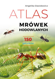 Atlas mrówek hodowlanych. 150 gatunków