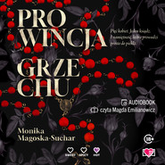 Prowincja grzechu