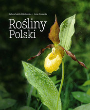 Rośliny Polski wyd. 2026