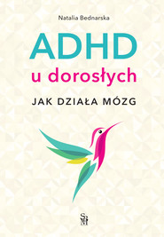 ADHD u dorosłych. Jak działa mózg