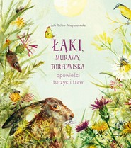 Łąki, murawy, torfowiska. Opowieści turzyc i traw