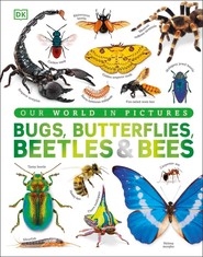 Our World in Pictures Bugs, Butterflies, Beetles and Bees