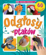 Odgłosy ptaków 60 dźwięków