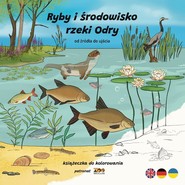Ryby i środowisko rzeki Odry. Od źródła do ujścia
