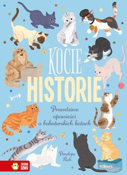 Kocie historie