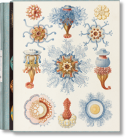 The Art and Science of Ernst Haeckel