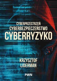 Cyberprzestrzeń, cyberbezpieczeństwo, cyberryzyko