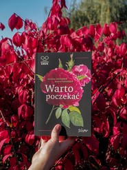 Warto poczekać