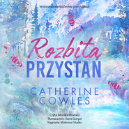 Rozbita przystań