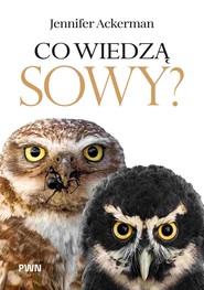 Co wiedzą sowy?
