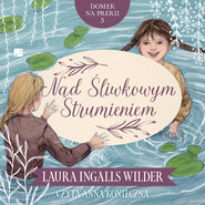 Nad Śliwkowym Strumieniem