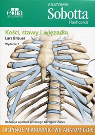Anatomia Sobotta Flashcards. Kości, stawy i więzadła. Łacińskie mianownictwo anatomiczne