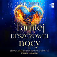 Tamtej deszczowej nocy