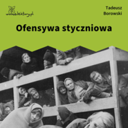 Ofensywa styczniowa