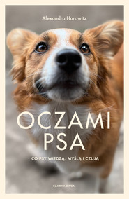 Oczami psa
