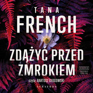 Zdążyć przed zmrokiem