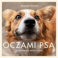 Oczami psa