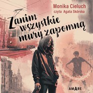 Zanim wszystkie mury zapomną