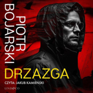 Drzazga