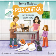 Psia Chatka. Siwy pyszczek szuka domu