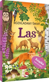 Rozkładany świat. Las