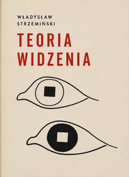 Teoria widzenia