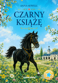 Czarny Książę