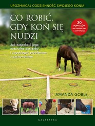 Co robić, gdy koń się nudzi