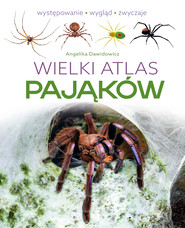 Wielki atlas pająków