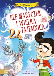 Elf Mareczek i wielka tajemnica. 24 godziny do Świąt. Elf Mareczek