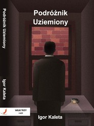 Podróżnik T.2 Podróżnik Uziemiony